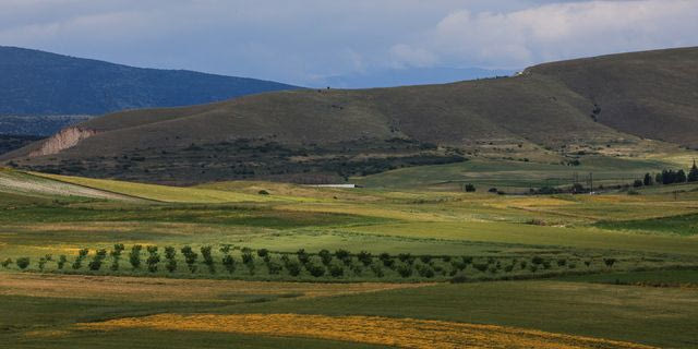 Κρήτη: Ακόμα και ανύπαρκτα χωράφια ή χωράφια πεθαμένων δήλωναν οι “αετονύχηδες” του ΟΠΕΚΕΠΕ