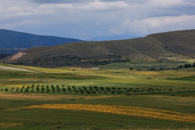 Κρήτη: Ακόμα και ανύπαρκτα χωράφια ή χωράφια πεθαμένων δήλωναν οι “αετονύχηδες” του ΟΠΕΚΕΠΕ