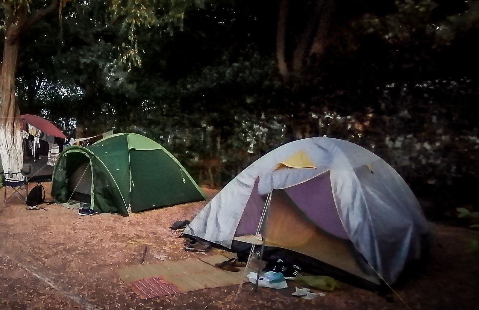 Φοινικούντα: Συνελήφθησαν ο ανιψιός του ιδιοκτήτη του κάμπινγκ και ο φίλος του