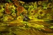 Μπήκαμε στην έκθεση του Van Gogh: Το challenge με τα κίτρινα ηλιοτρόπια
