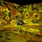 Μπήκαμε στην έκθεση του Van Gogh: Το challenge με τα κίτρινα ηλιοτρόπια