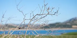 Zero Drop Μόρνος: Καμία σταγόνα νερού χαμένη