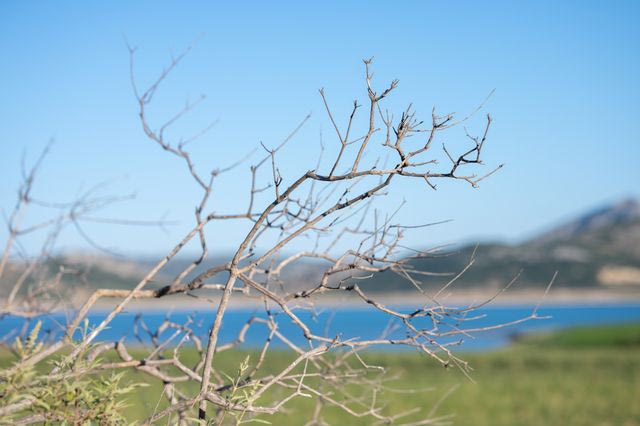 Zero Drop Μόρνος: Καμία σταγόνα νερού χαμένη