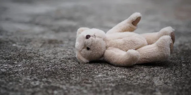 Λούτρινο αρκουδάκι στο έδαφος