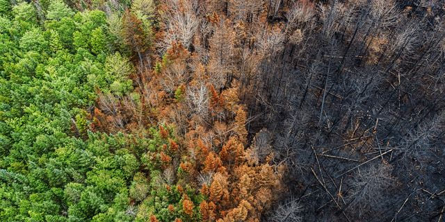 Το 2025 οδεύει να γίνει το δεύτερο θερμότερο έτος που καταγράφτηκε ποτέ