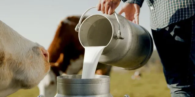 Στρατηγική ανανέωσης χαρτοφυλακίου από τη Danone Ελλάδας με αιχμή νέα λανσαρίσματα