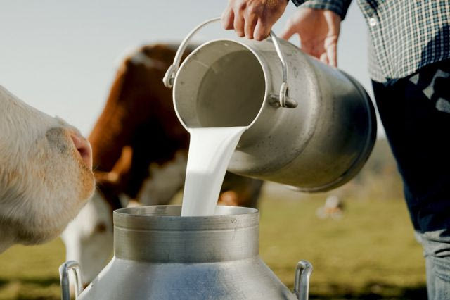 Στρατηγική ανανέωσης χαρτοφυλακίου από τη Danone Ελλάδας με αιχμή νέα λανσαρίσματα