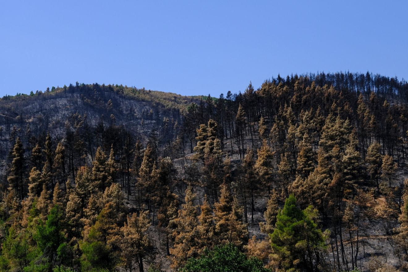 Η Ελλάδα πέφτει στην 30η θέση του Climate Change Performance Index 2026