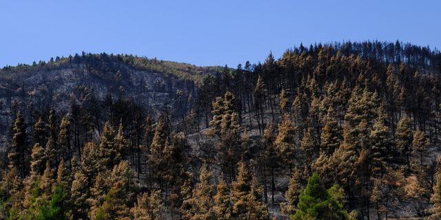 Η Ελλάδα πέφτει στην 30η θέση του Climate Change Performance Index 2026