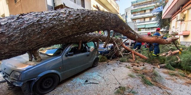 Δέντρο έπεσε και καταπλάκωσε αυτικίνητα στη Χαριλάου