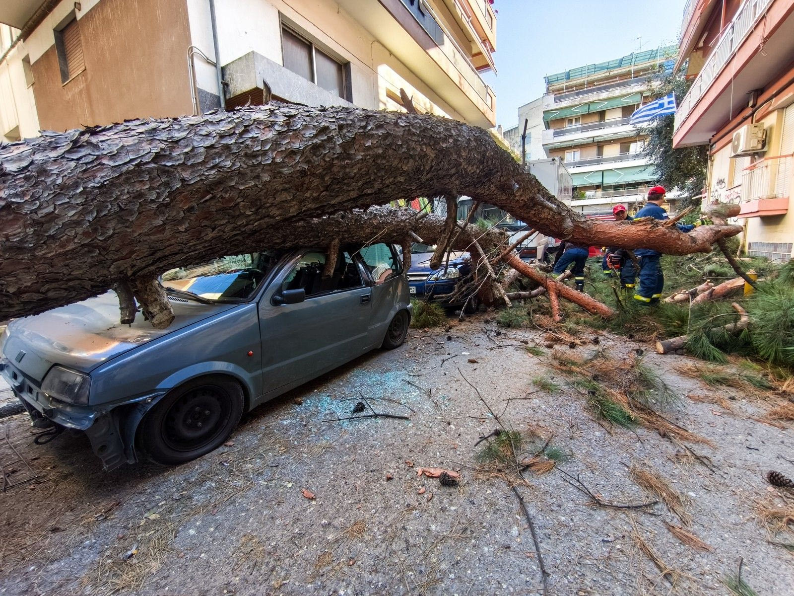 Δέντρο έπεσε και καταπλάκωσε αυτικίνητα στη Χαριλάου