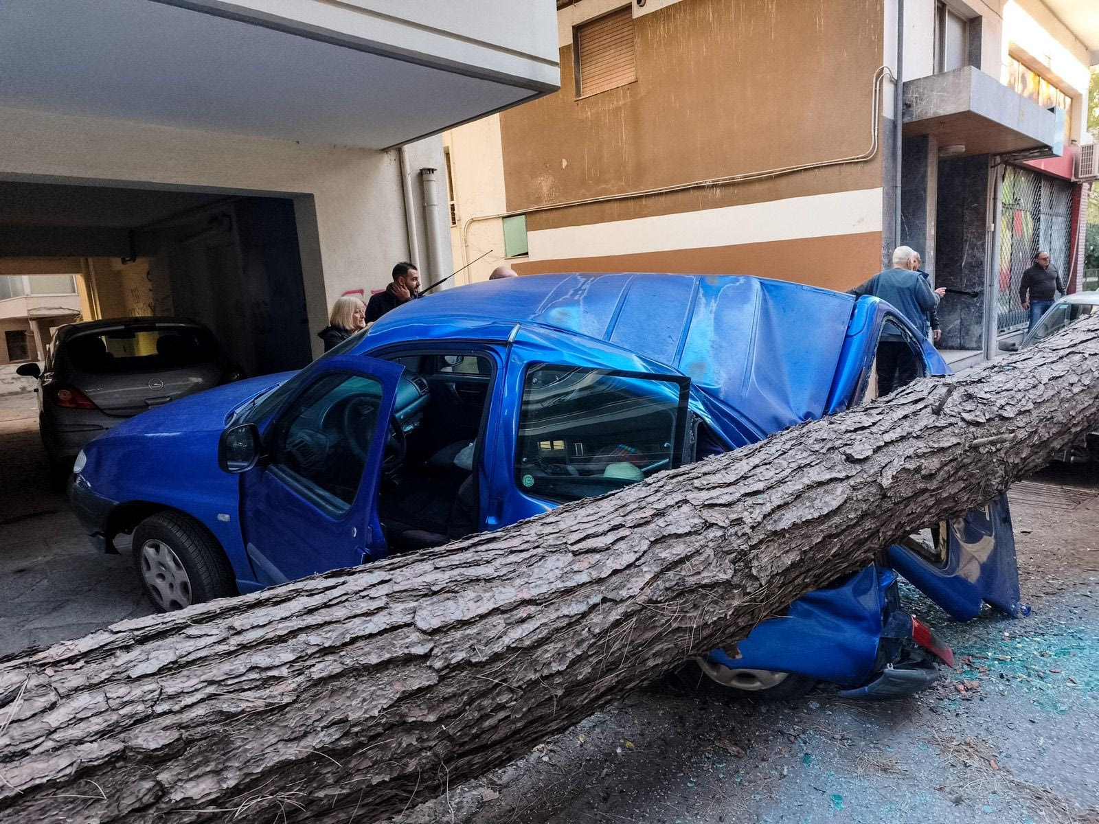 Δέντρο έπεσε και καταπλάκωσε αυτικίνητα στη Χαριλάου