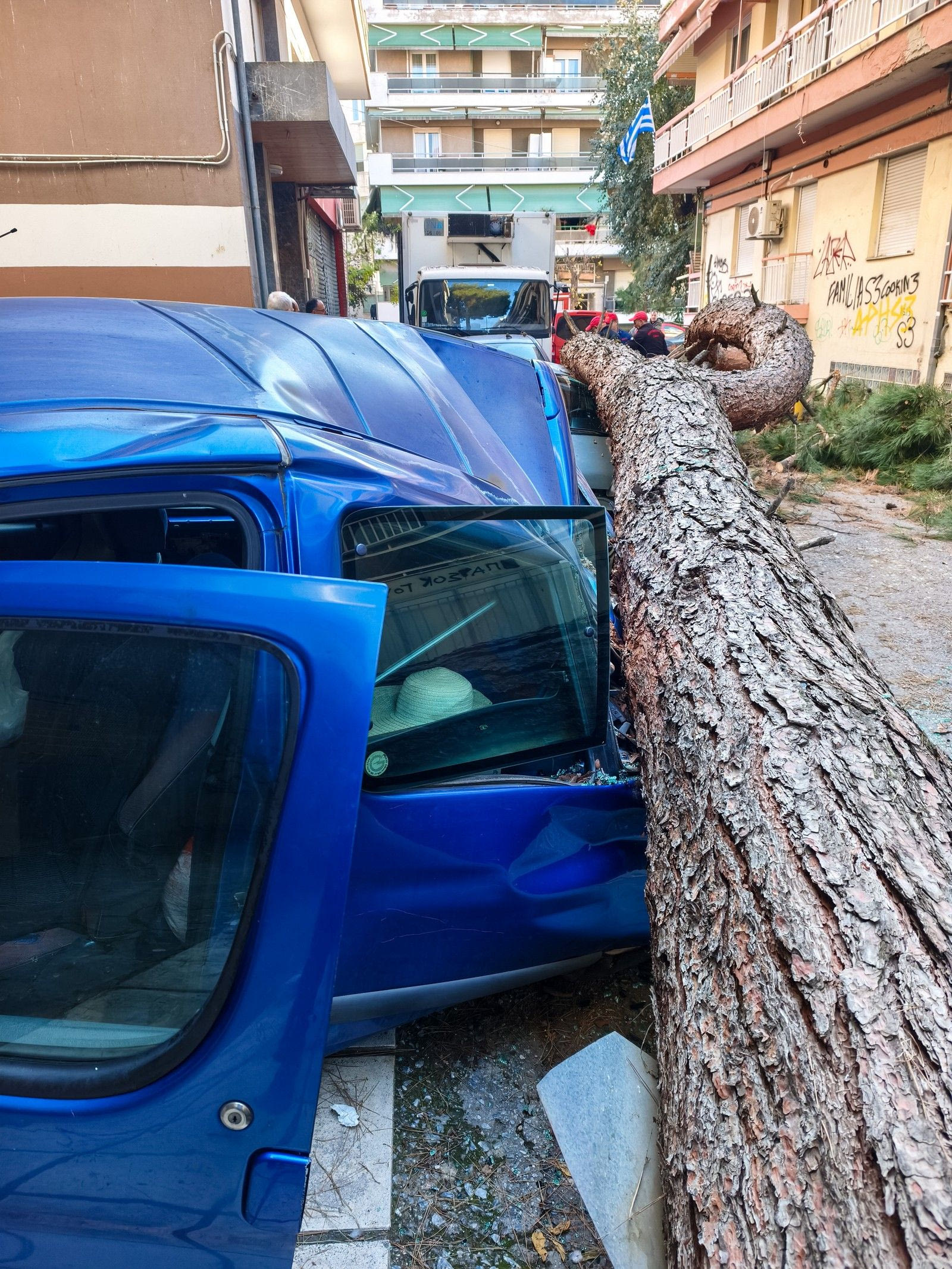 Δέντρο έπεσε και καταπλάκωσε αυτικίνητα στη Χαριλάου