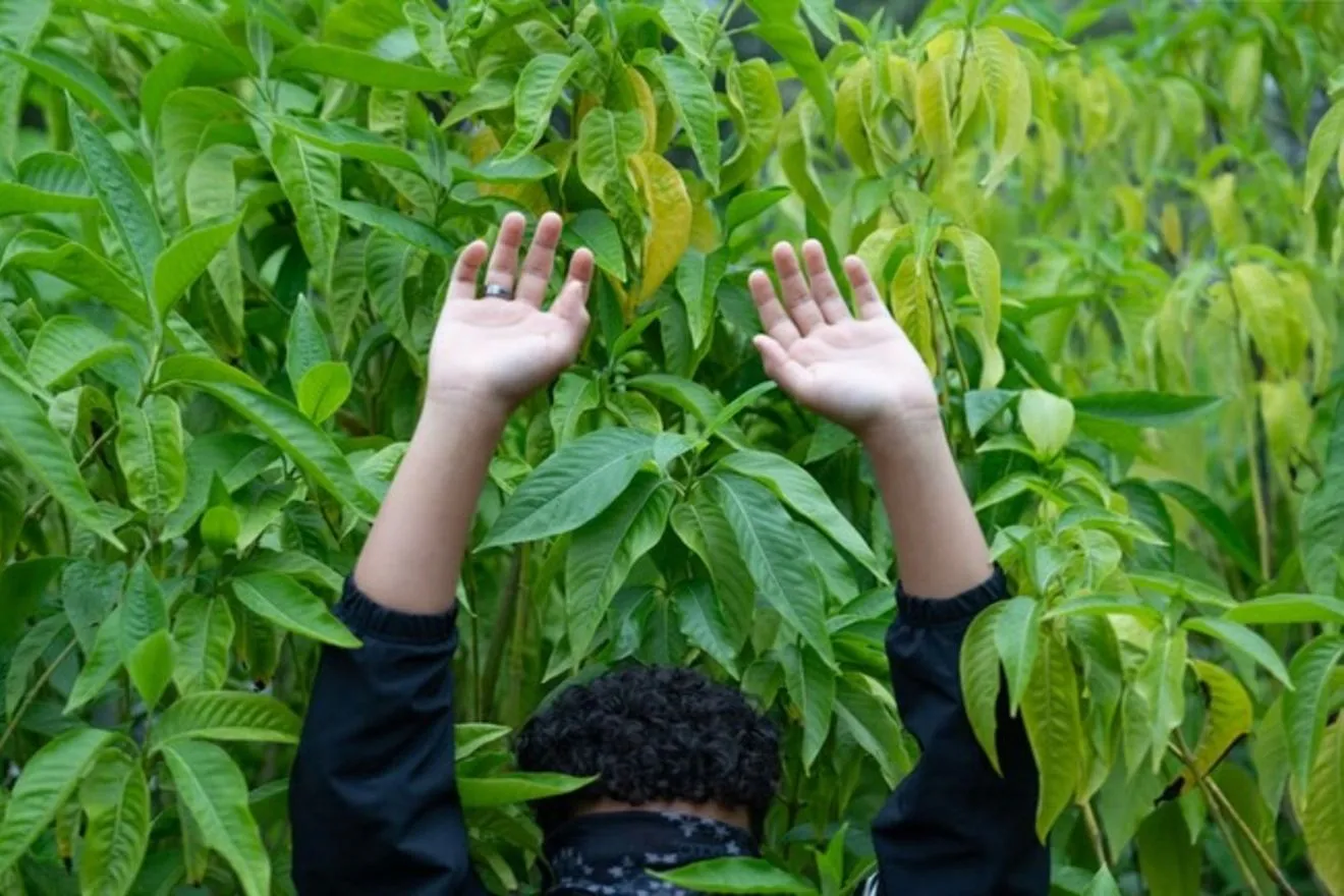 Δωρεάν την Πέμπτη 11 Δεκεμβρίου – 3 εκδηλώσεις χωρίς είσοδο