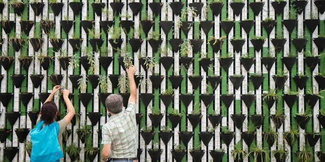 ESG και επιχειρήσεις- Πού δίνουν έμφαση οι επιχειρήσεις