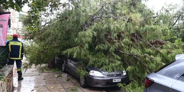 Πτώση δέντρου πάνω σε παρκαρισμένο αυτοκίνητο στο Παλαιό Φάληρο