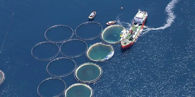 Τι σηματοδοτεί για το μέλλον της Avramar Hellas η μη κατάθεση του φακέλου εξυγίανσης