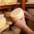 Λέσβος: Με διακοπή λειτουργίας από 8 Απριλίου προειδοποιούν οι τυροκομικές επιχειρήσεις