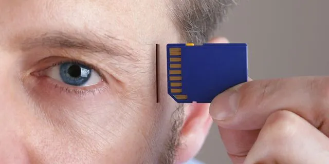 Ο εγκέφαλος έχει τα δικά του, βιολογικά τσιπάκια