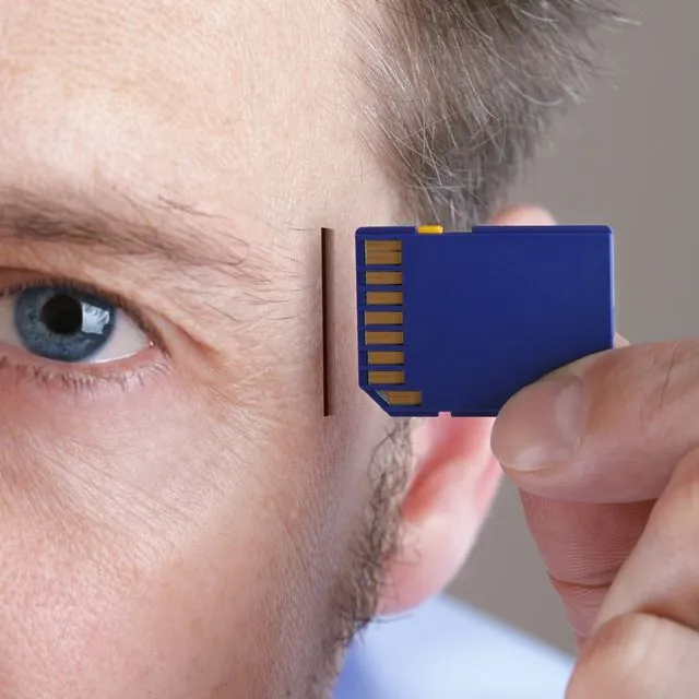 Ο εγκέφαλος έχει τα δικά του, βιολογικά τσιπάκια