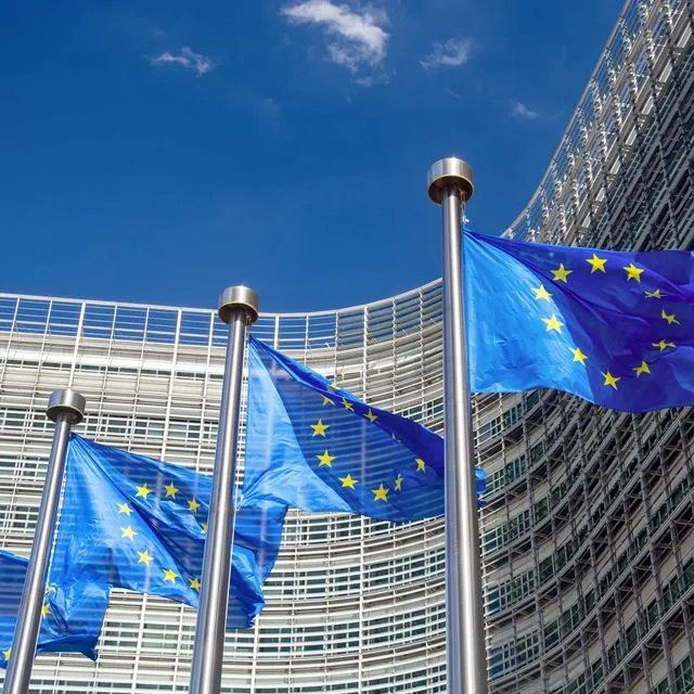 Σημαίες της Ευρωπαϊκής Ένωσης