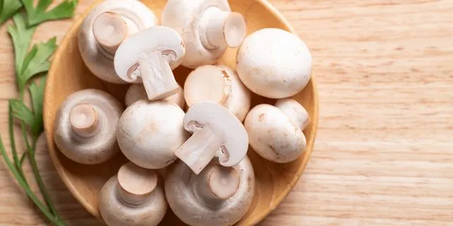 Είναι τα μανιτάρια μαγικά;