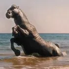 “Οδύσσεια”: Νέες εντυπωσιακές εικόνες με Ντέιμον, Χάθαγουεϊ, Χόλαντ και Πάτινσον