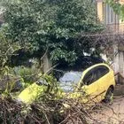 Δέντρα έχουν καταπλακώσει αυτοκίνητο