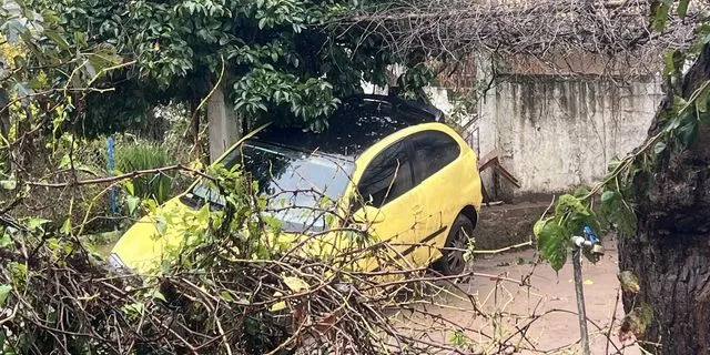 Δέντρα έχουν καταπλακώσει αυτοκίνητο