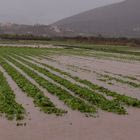 Κακοκαιρία "Byron" (Φωτογραφία αρχείου)