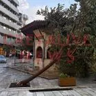 Ηράκλειο: Πτώσεις δέντρων από ολιγόλεπτη καταιγίδα
