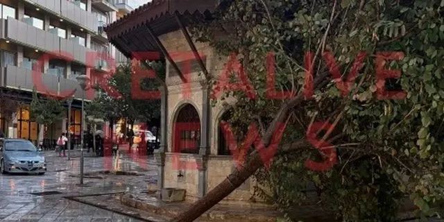 Ηράκλειο: Πτώσεις δέντρων από ολιγόλεπτη καταιγίδα