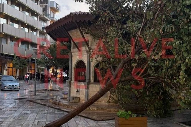 Ηράκλειο: Πτώσεις δέντρων από ολιγόλεπτη καταιγίδα