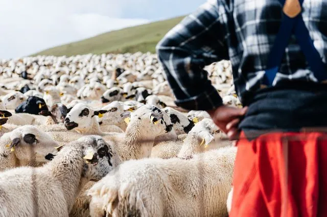 ΟΠΕΚΕΠΕ: Κατατέθηκαν 28,78 ευρώ σε δικαιούχους για βιολογική κτηνοτροφία και μελισσοκομία 2024