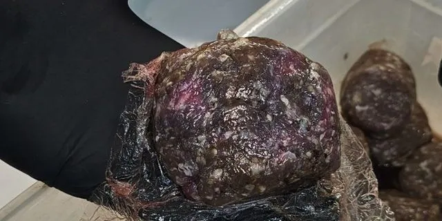 Σαρωτικοί έλεγχοι στην αγορά: Κατασχέθηκαν 12 τόνοι ακατάλληλων προϊόντων στην Αττική