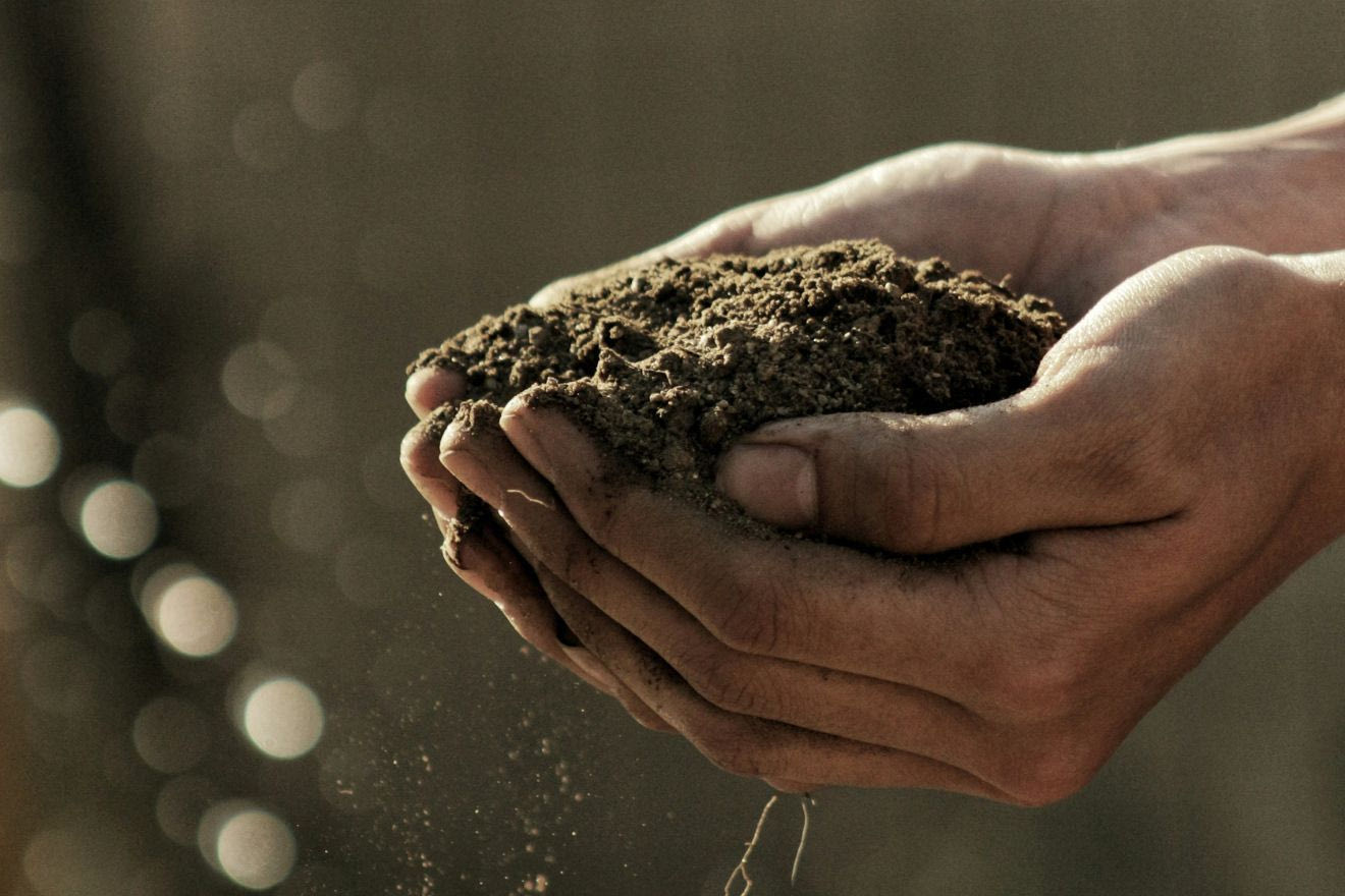 Βιώσιμη γεωργία: Πόσο εφικτή είναι στην Ελλάδα