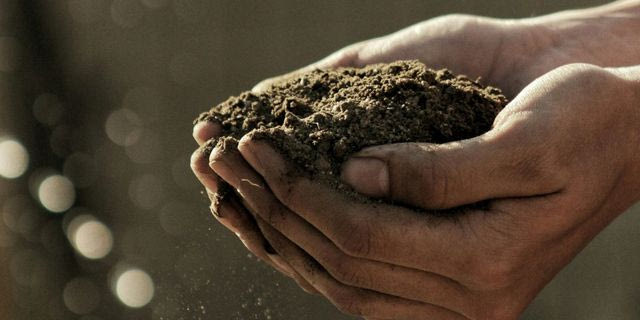 Βιώσιμη γεωργία: Πόσο εφικτή είναι στην Ελλάδα