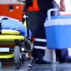 Μεταμοσχεύσεις οργάνων χοίρων σε ανθρώπους: Η κλινική δοκιμή που μπορεί να σώσει χιλιάδες ζωές