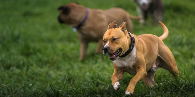 Ζάκυνθος: Συγκλονίζει ο πατέρας του 2χρονου – “Δεν ήταν πάνω από 30 δευτερόλεπτα”