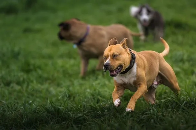 Ζάκυνθος: Συγκλονίζει ο πατέρας του 2χρονου – “Δεν ήταν πάνω από 30 δευτερόλεπτα”