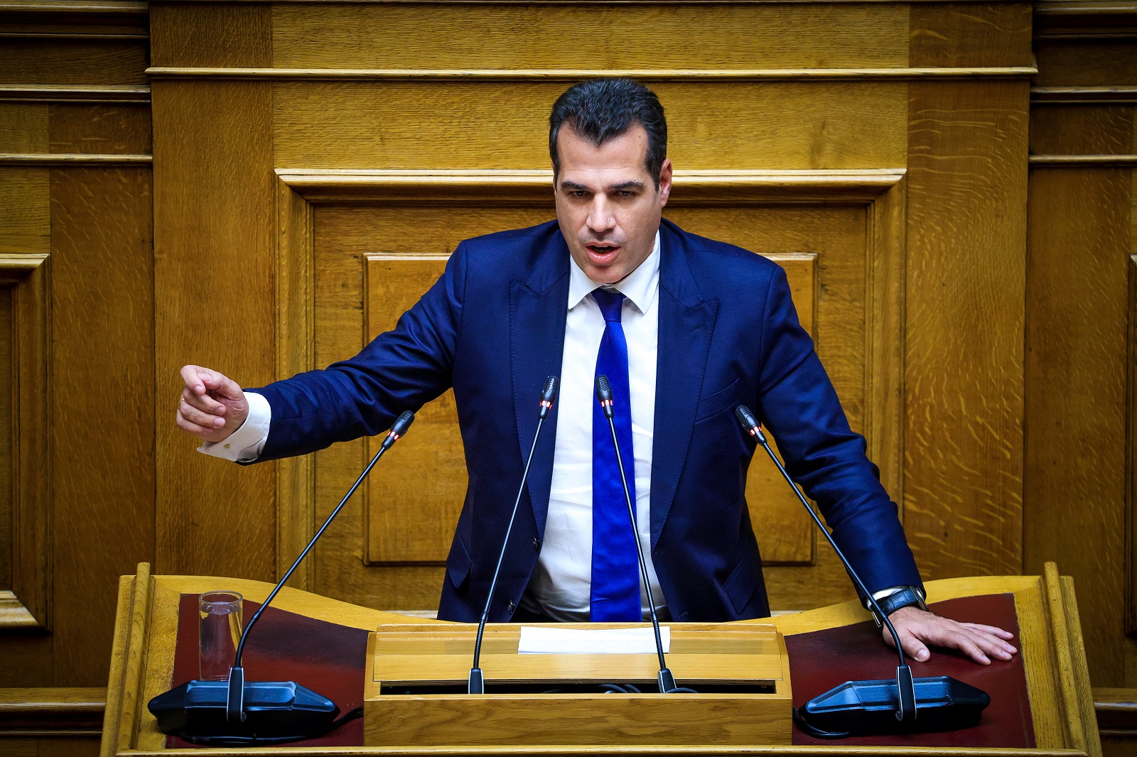 Ο Τραμπ αναδημοσίευσε συνέντευξη του Θάνου Πλεύρη για το μεταναστευτικό