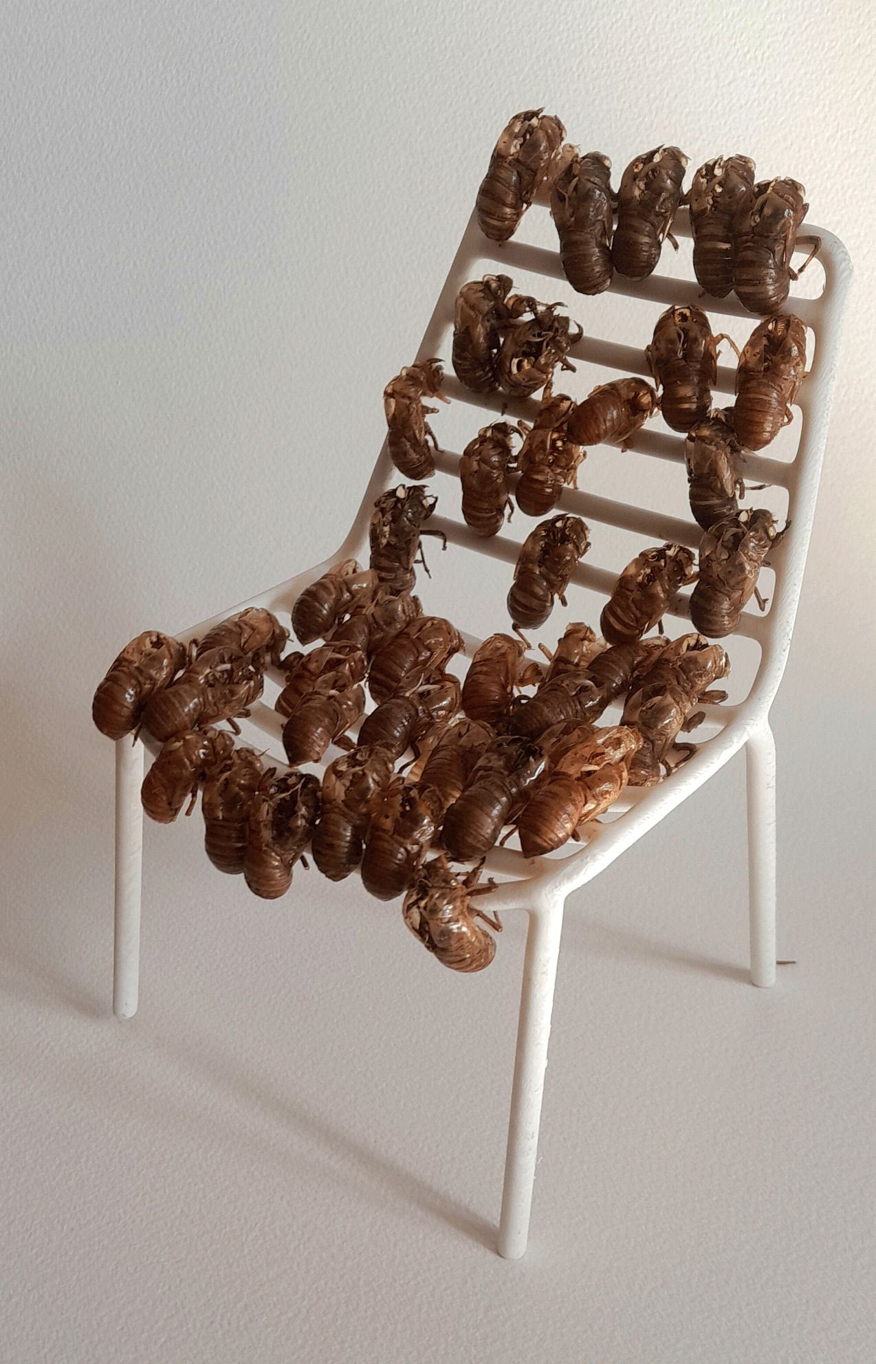 Αλέξανδρος Ψυχούλης