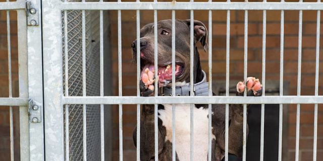 Φωτογραφία αρχείου