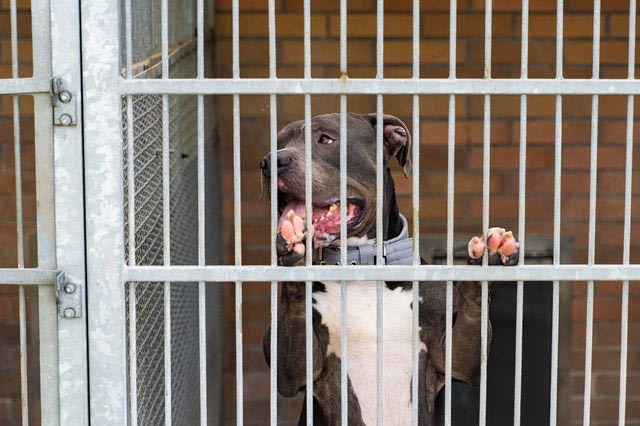 Φωτογραφία αρχείου