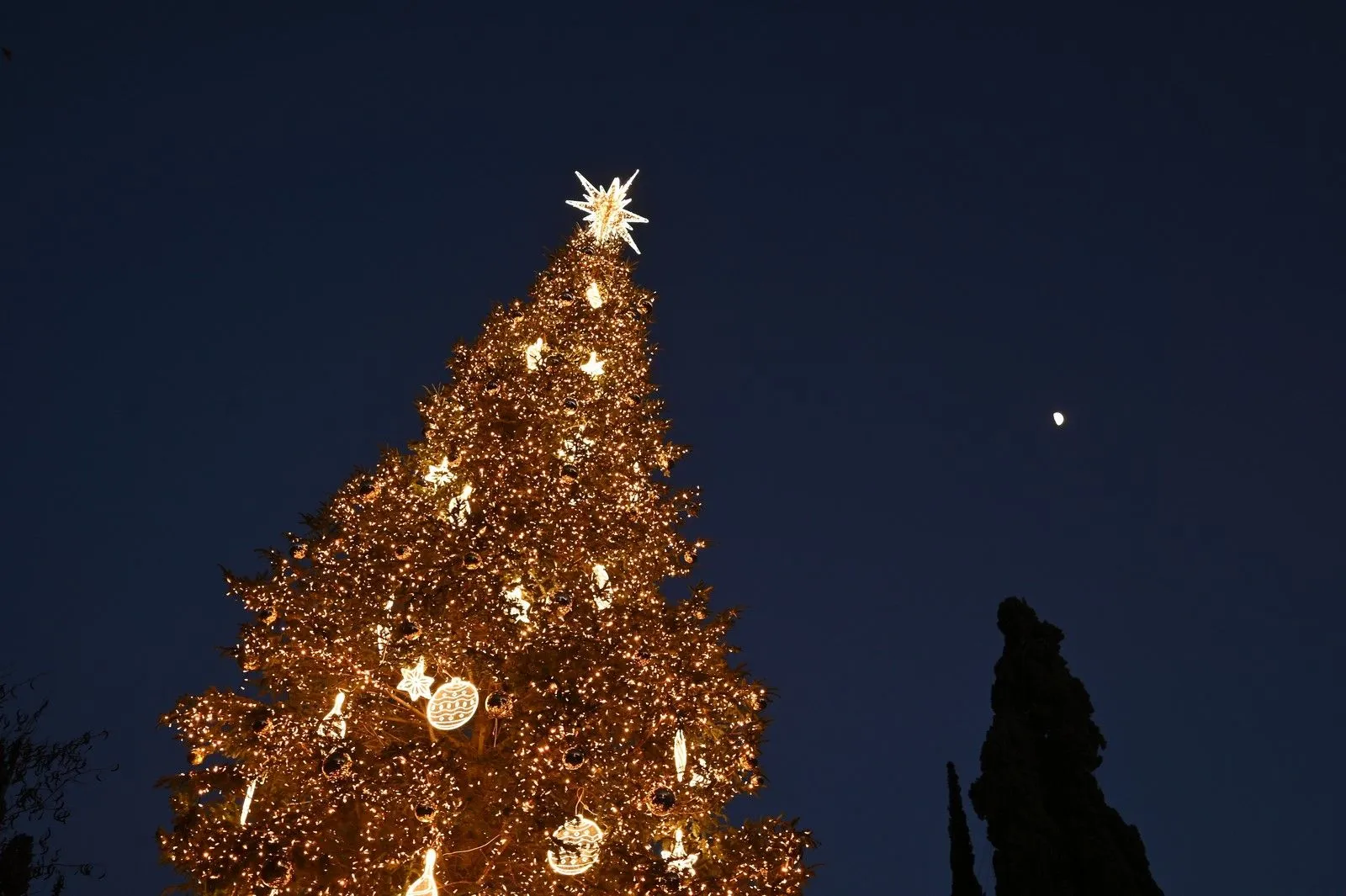 Το χριστουγεννιάτικο δέντρο στο Σύνταγμα