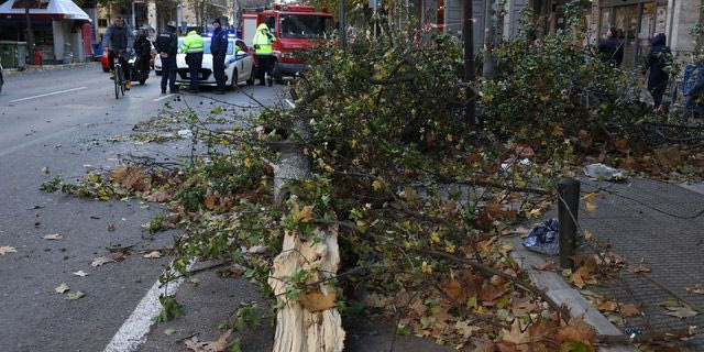 Θεσσαλονίκη: Πτώσεις δεκάδων δέντρων και πινακίδων από τους ισχυρούς ανέμους