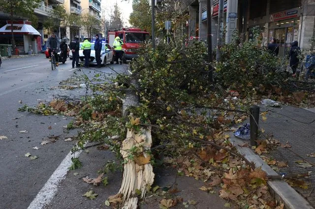 Θεσσαλονίκη: Πτώσεις δεκάδων δέντρων και πινακίδων από τους ισχυρούς ανέμους
