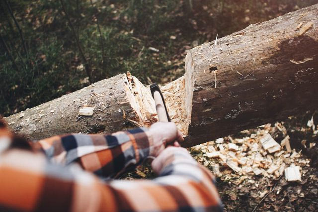 Άνδρας κόβει ξύλα στο δάσος (φωτογραφία αρχείου)