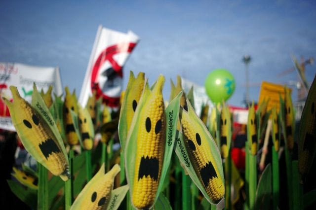 Νέα μεταλλαγμένα, ίδιοι κίνδυνοι