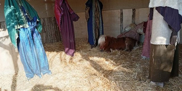Πόνυ σε φάτνη στον Βόλο